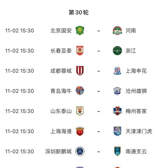 包含中超新秀崭露头角，被誉为未来之星的词条