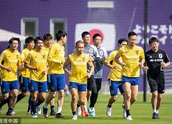 欧洲杯预选赛：球队集体兄弟齐心协力的简单介绍