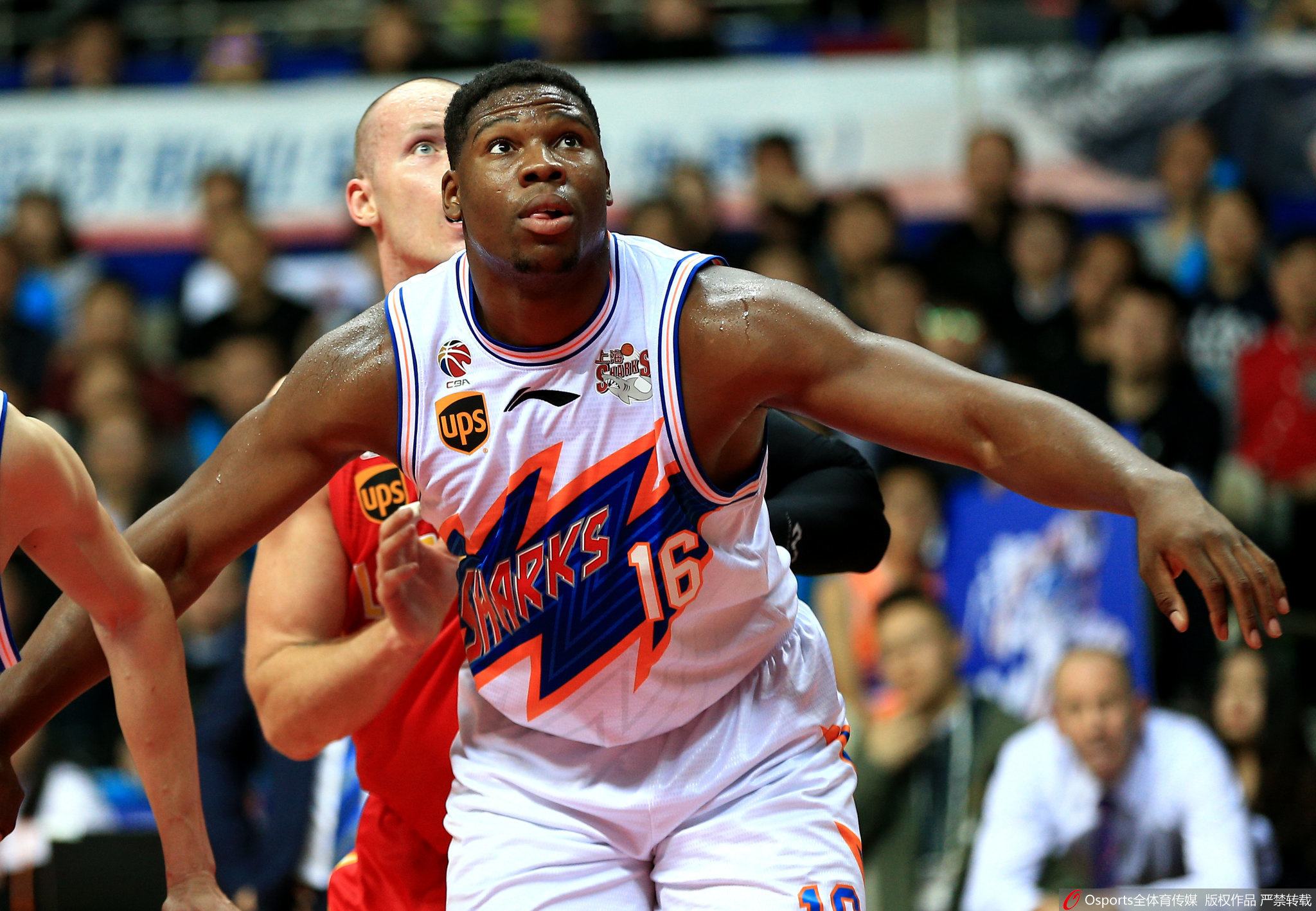 杏彩体育网页版登录入口-包含联盟新秀表现抢眼，热门球队仍稳坐榜首位置的词条