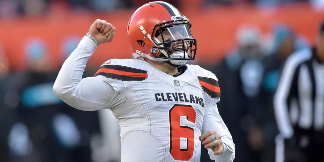 杏彩体育地址-老鹰遇强敌不敌，被子弹逆袭