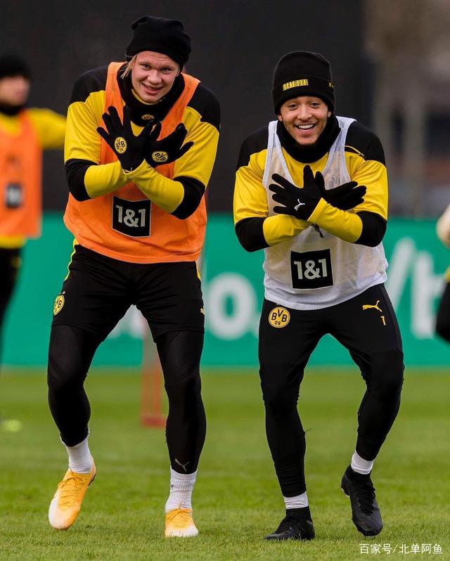 维罗纳陷入保级泥潭，堪忧危的简单介绍